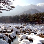 Snow Covered Singye Stream - DPRK