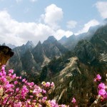 Sonha Valley in Spring - DPRK