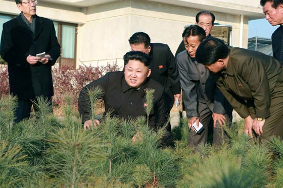Kim Jong Un Visits Central Tree Nursery