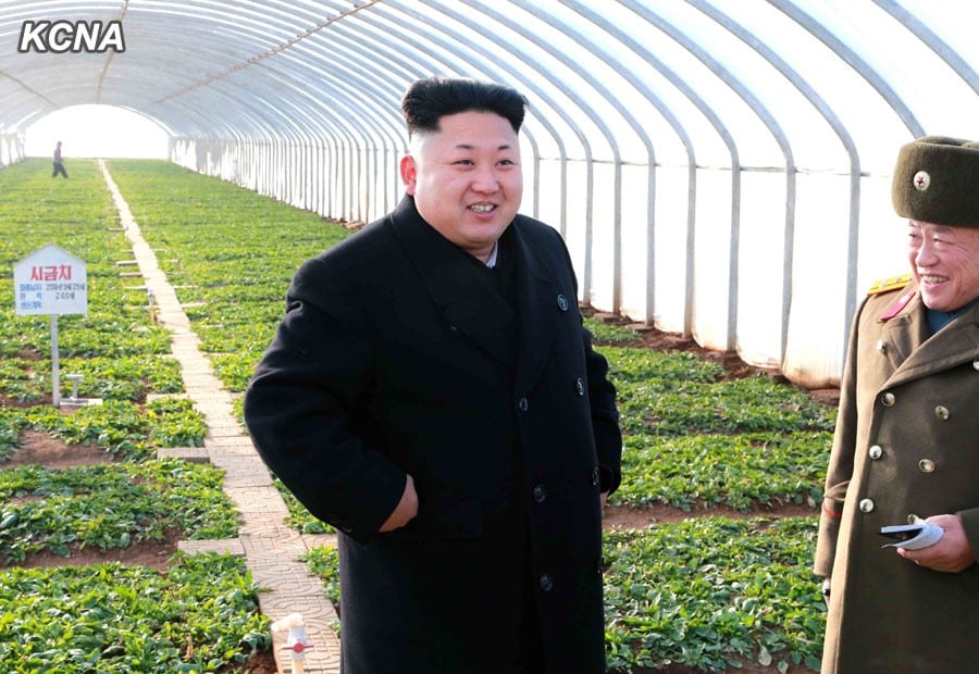 Kim Jong Un, first secretary of the Workers' Party of Korea, first chairman of the DPRK National Defence Commission and supreme commander of the Korean People's Army (KPA), gave field guidance to the newly-built vegetable greenhouses at the June 8 Farm of the KPA. He was very pleased to see the greenhouses in rows, saying that they were built neatly and they look like a picture. Going round different parts of the greenhouses, he acquainted himself in detail with their construction and vegetable growing. The greenhouses, built in a hill-area to make better use of land, are spectacular when they are looked up or down, he said. They are flawless in every aspect, he said, adding: It is important to build a greenhouse well but more important is to do farming well there so that the servicepersons can get a great benefit from it. In order to ensure the effective greenhouse farming, it is necessary to pay attention to the work for raising the responsibility and technical knowledge of farmers, he said, stressing the need to actively introduce advanced farming methods in cooperation with vegetable science institutes so as to put the scientification and intensification of greenhouse farming on a higher level. Efforts should be directed to the scientific and technological distribution to fan up the flame of collective innovation in the supply service of the people's army, he said, giving an instruction to found a monthly magazine that explains about the Party's policy related to the supply service and indicates tasks and ways for its implementation and introduces advanced science and technology and good experiences. He gave thanks of the supreme commander to the units involved in the construction of vegetable greenhouses. He said: The vegetable greenhouses newly built at the June 8 Farm well show how the People's Army approaches and implements the Party's policy. The army makes it an inveterate habit to carry out any order, policy and instruction of the Party at once and perfectly and report about the results. This is just the revolutionary soldier spirit. Terming the vegetable greenhouses of the June 8 Farm a standard and model one, he called for conducting a vigorous drive to supply fresh vegetable to the people in all seasons by making the example of the KPA spread across the country like wildfire. He was accompanied by Hwang Pyong So, Hyon Yong Chol, Pak Yong Sik, Han Kwang Sang and Ri Jae Il. -0-